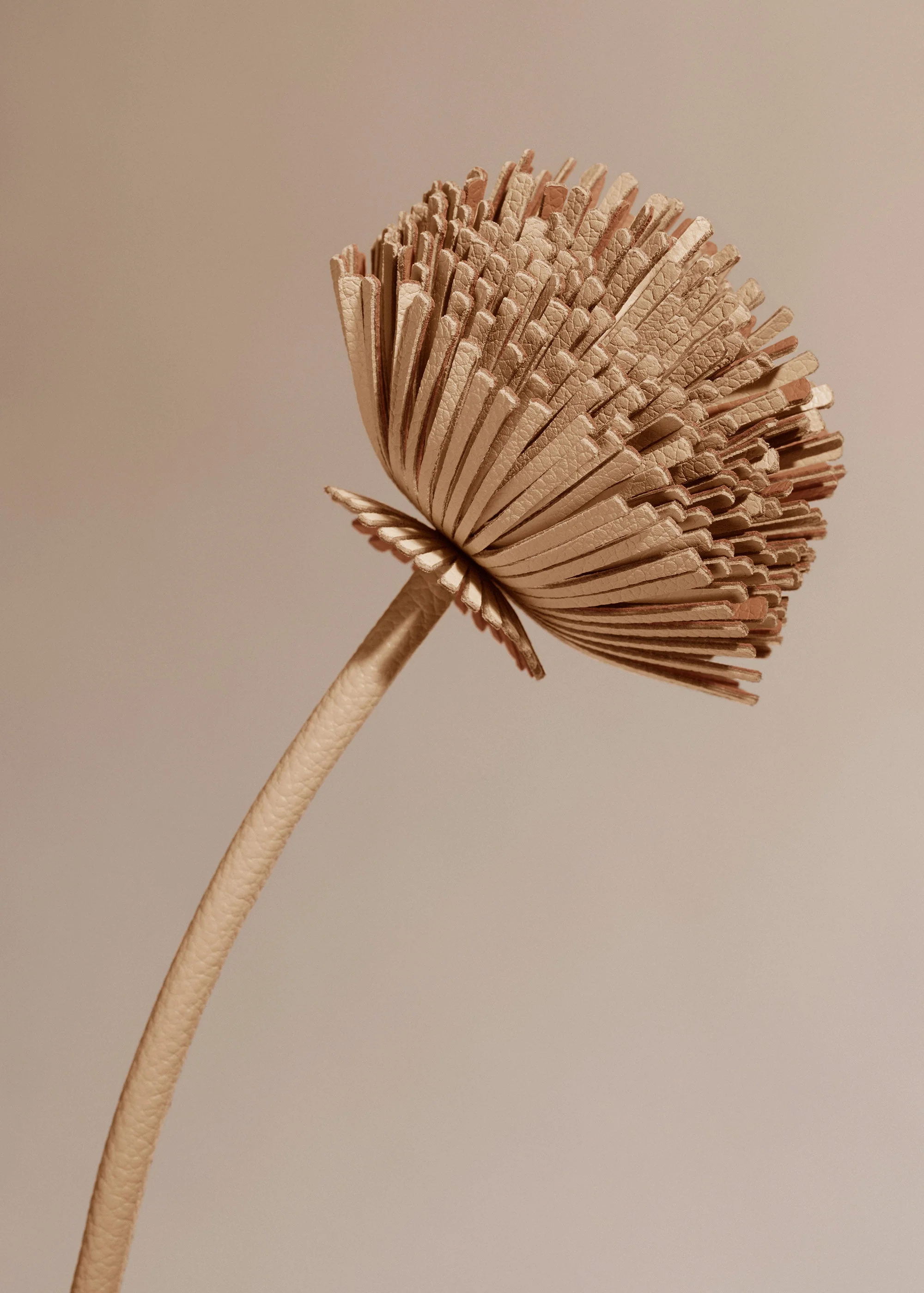 Charm Orki - Trio Beige - Image 3