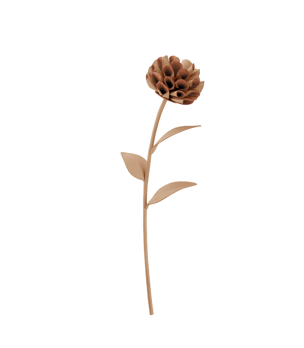 Fiore Dalium - Duo Beige