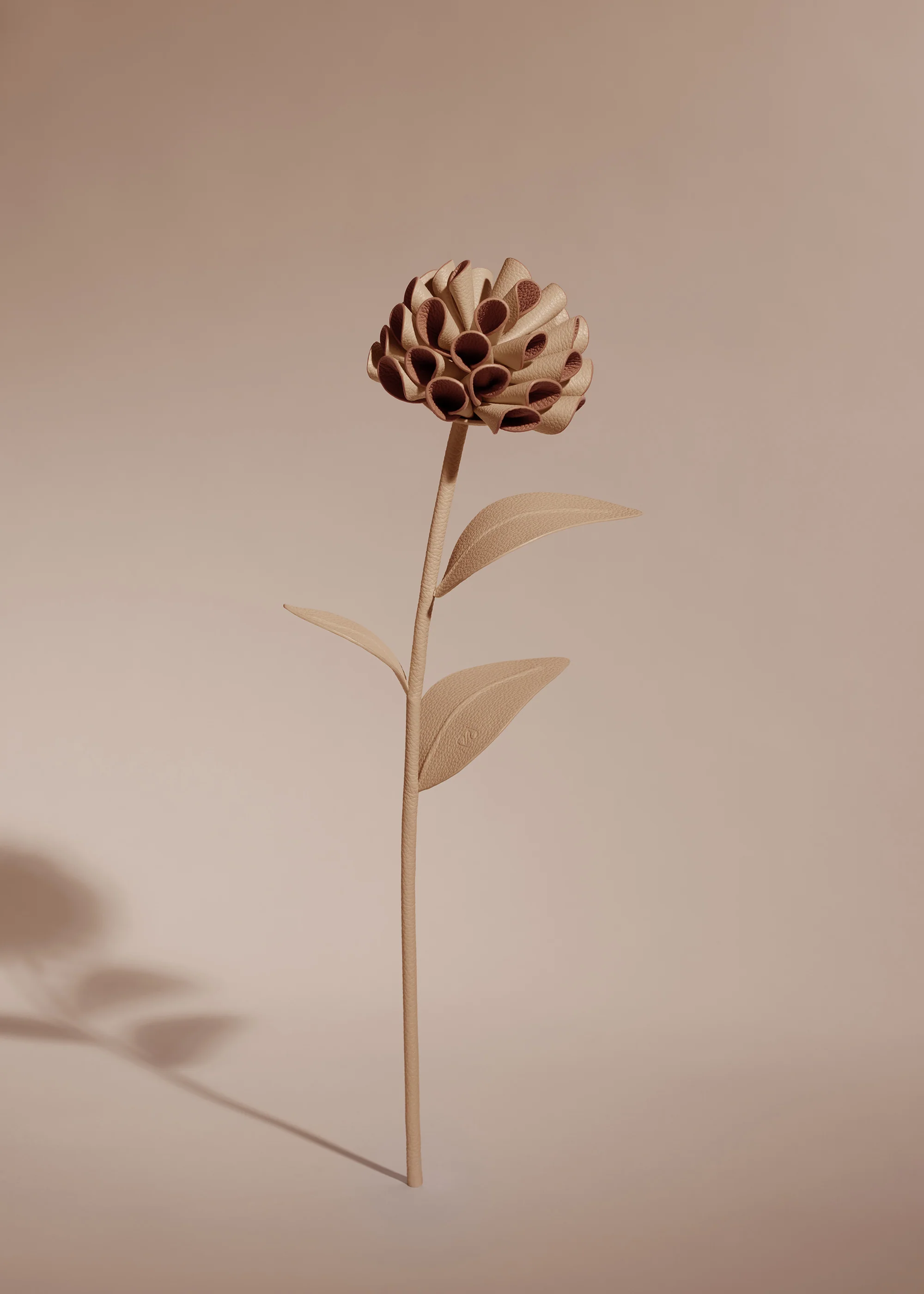 Fiore Dalium - Duo Beige - Image 2
