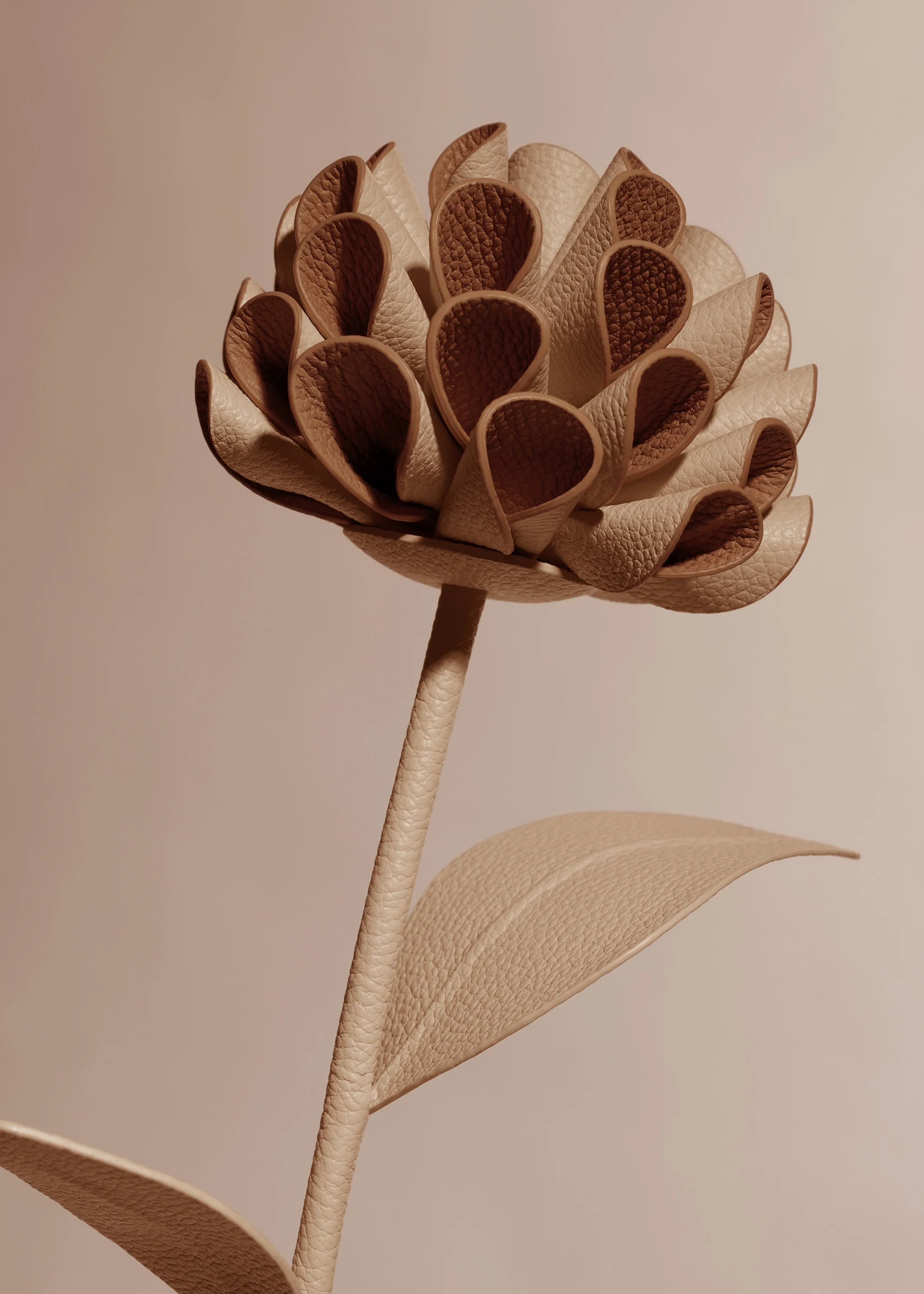 Fiore Dalium - Duo Beige - Image 3