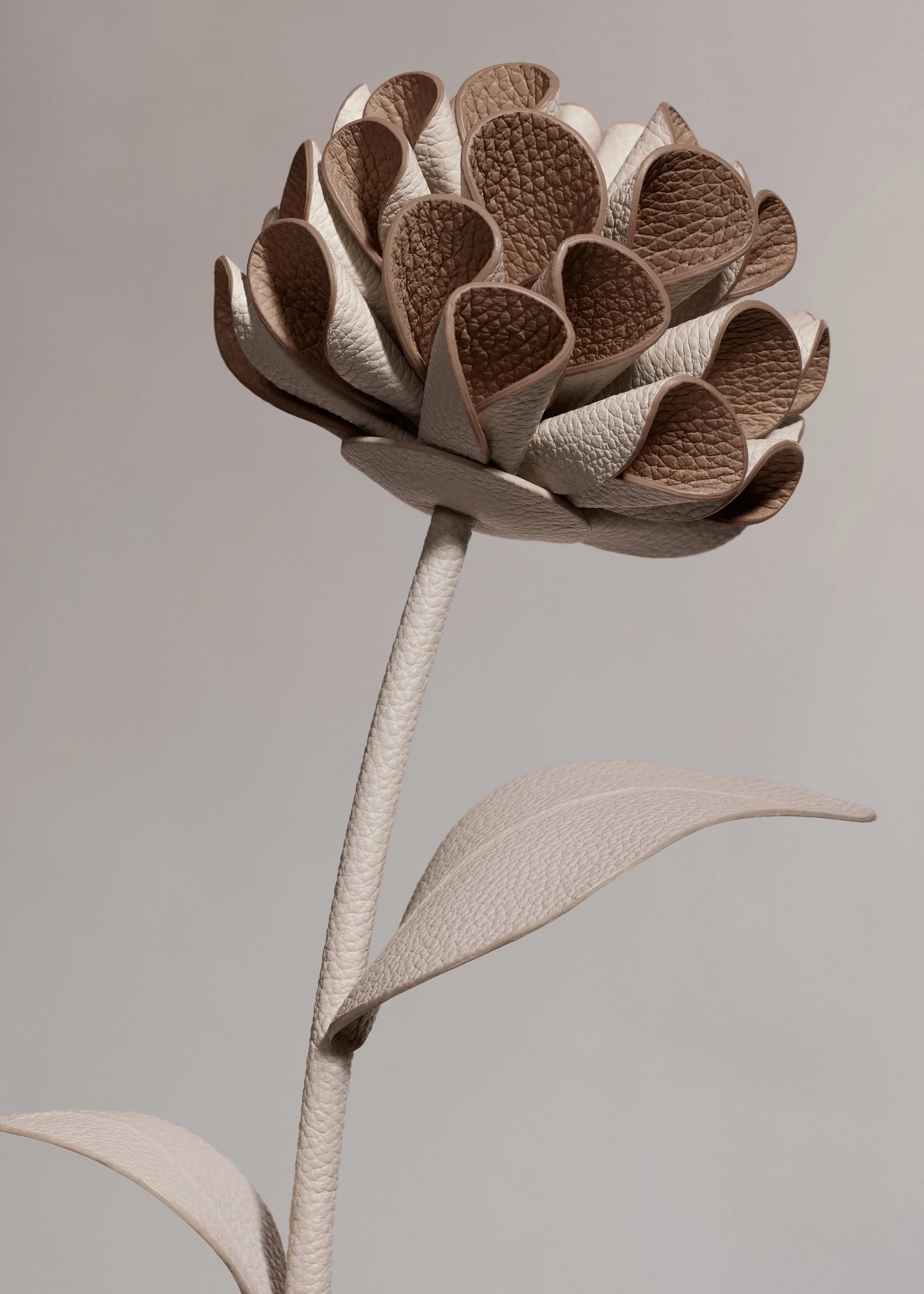 Fiore Dalium - Gesso - Image 3
