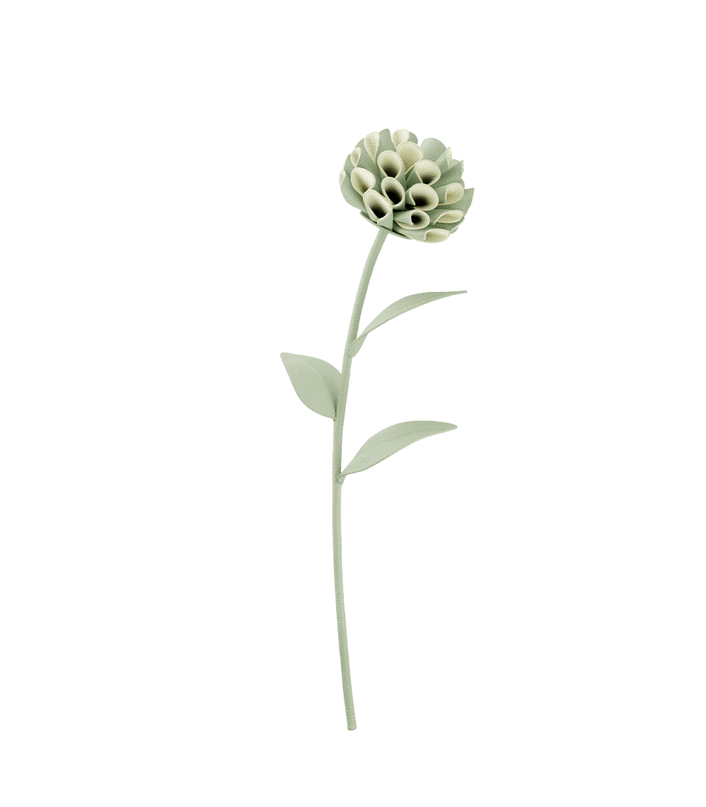 Fiore Dalium - Mandorla fresca