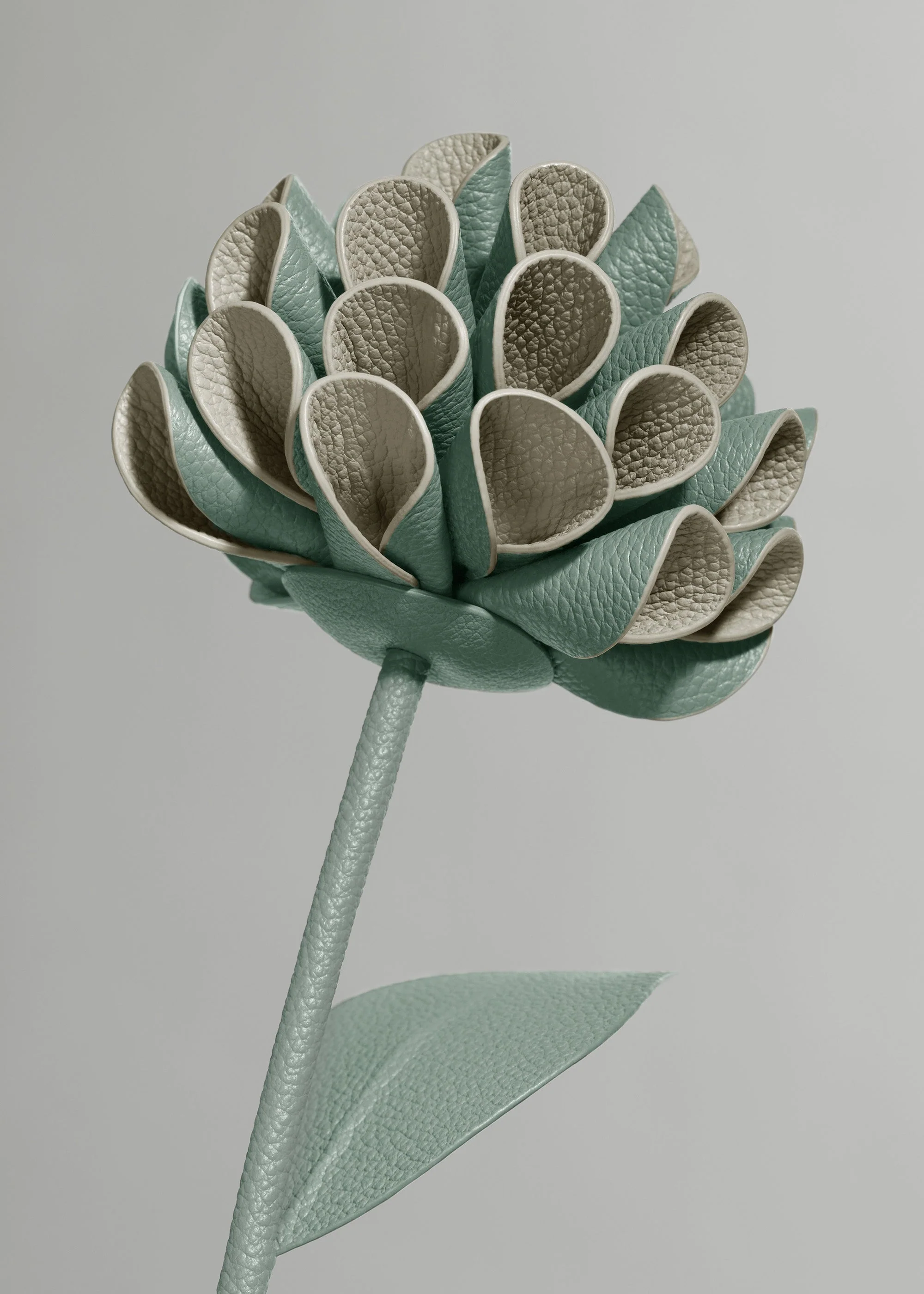 Fiore Dalium - Mandorla fresca - Image 3