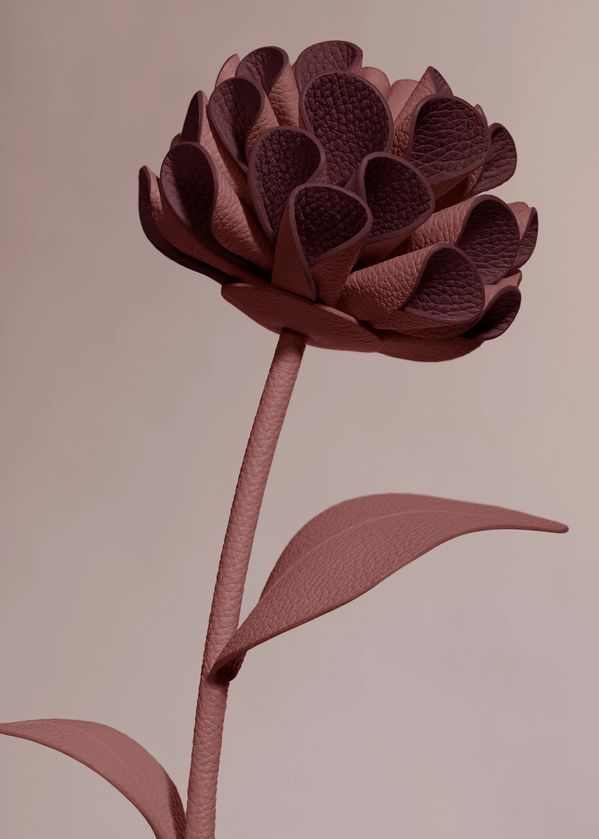 Fiore Dalium - Lilla - Image 3