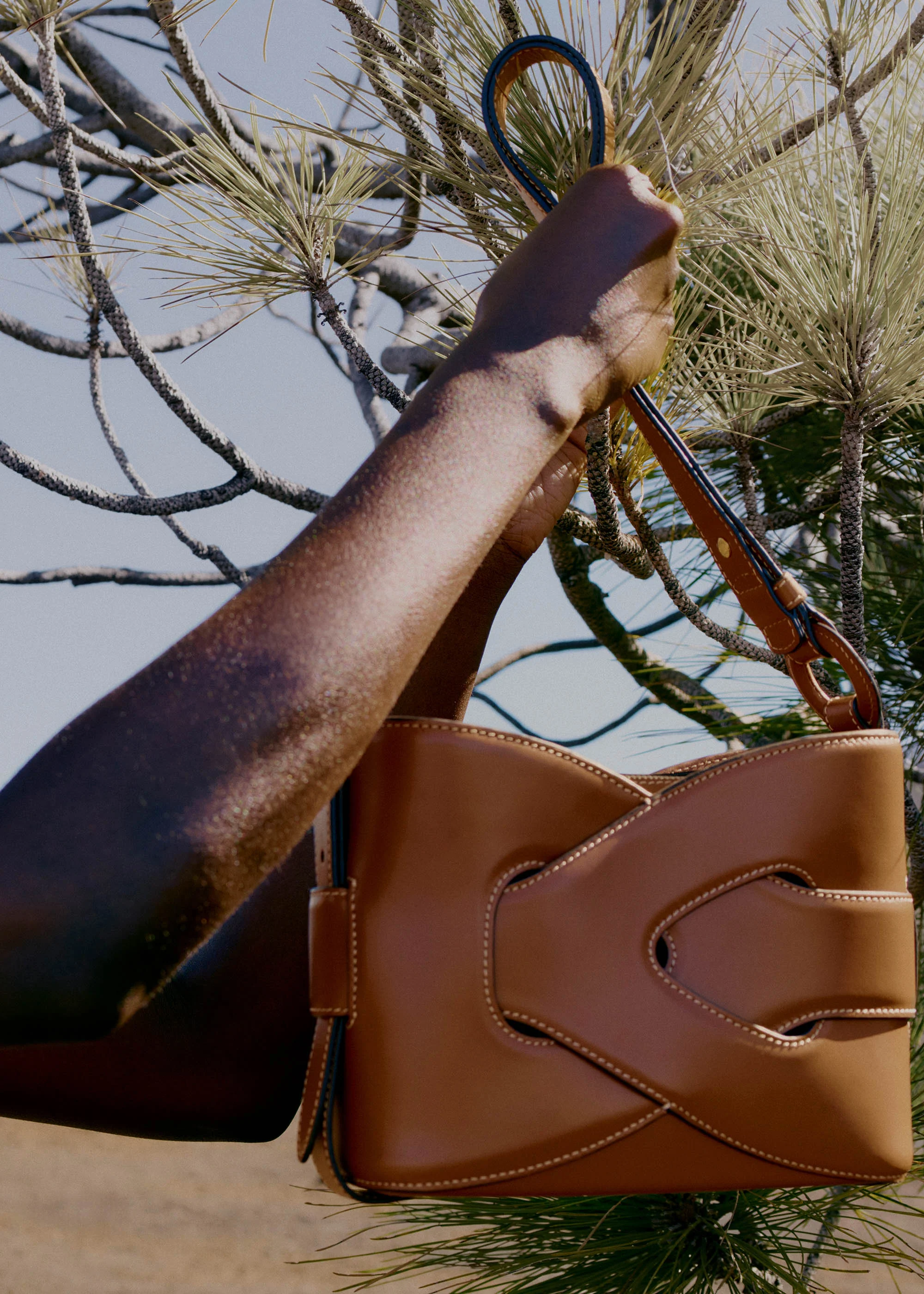 Nodde - Cognac Liscia - Image 4