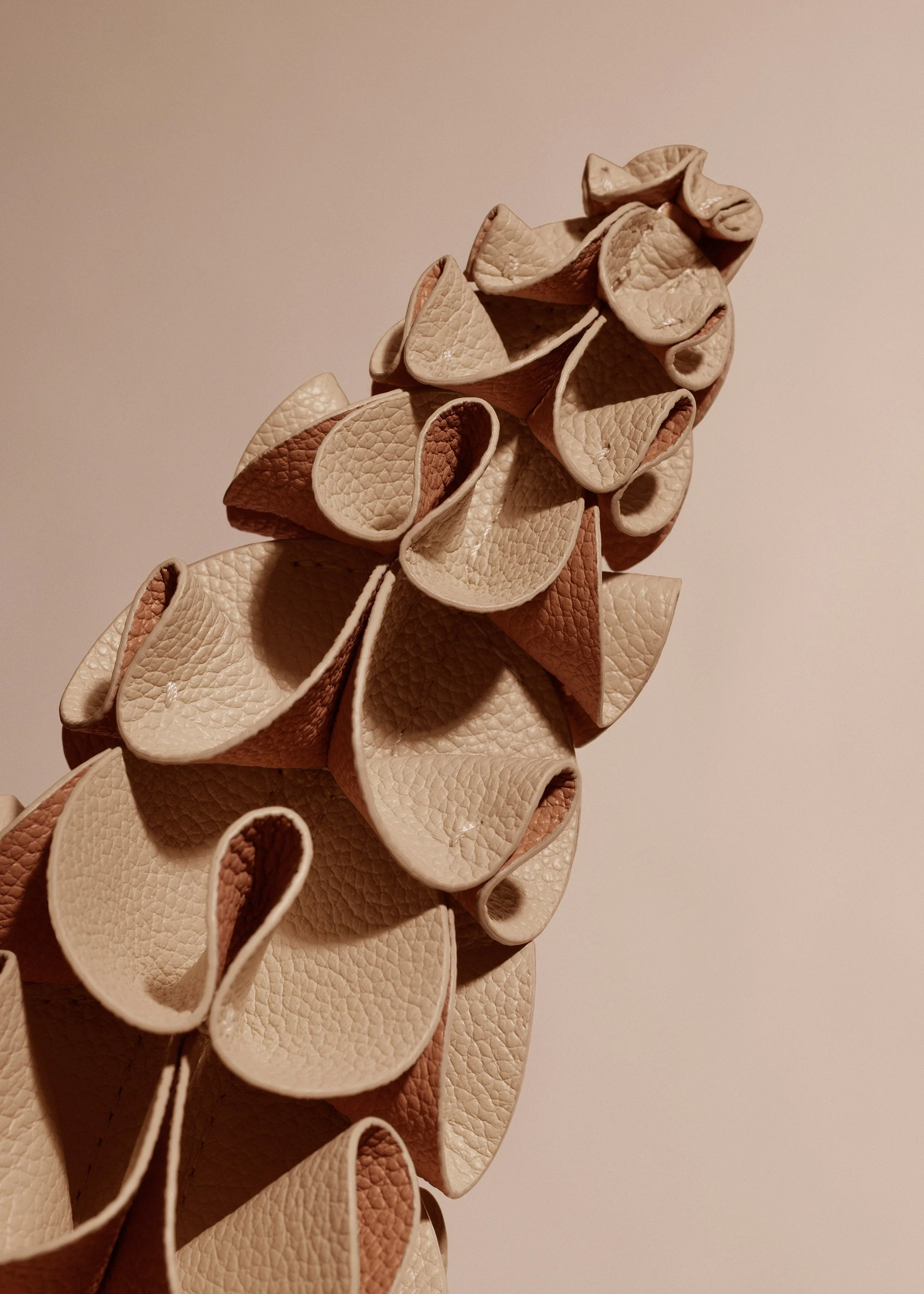 Fiore Orki - Beige - Image 3