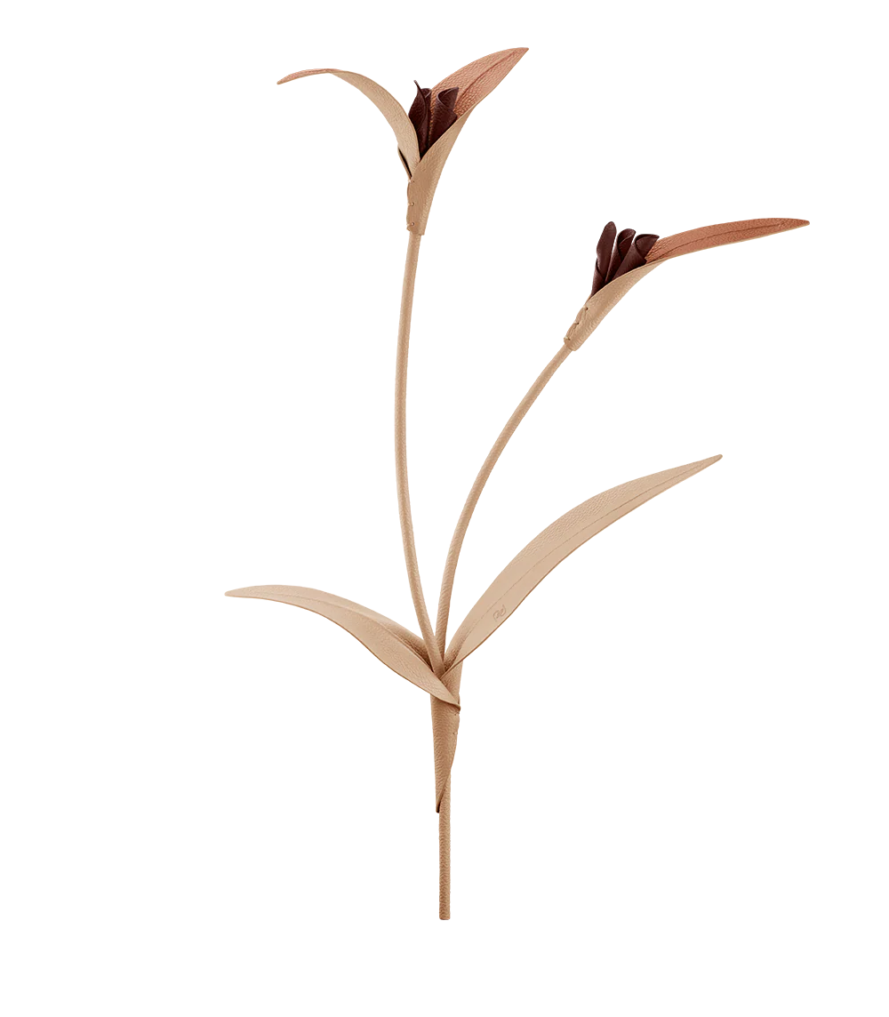 Fiore Touka - Trio Beige