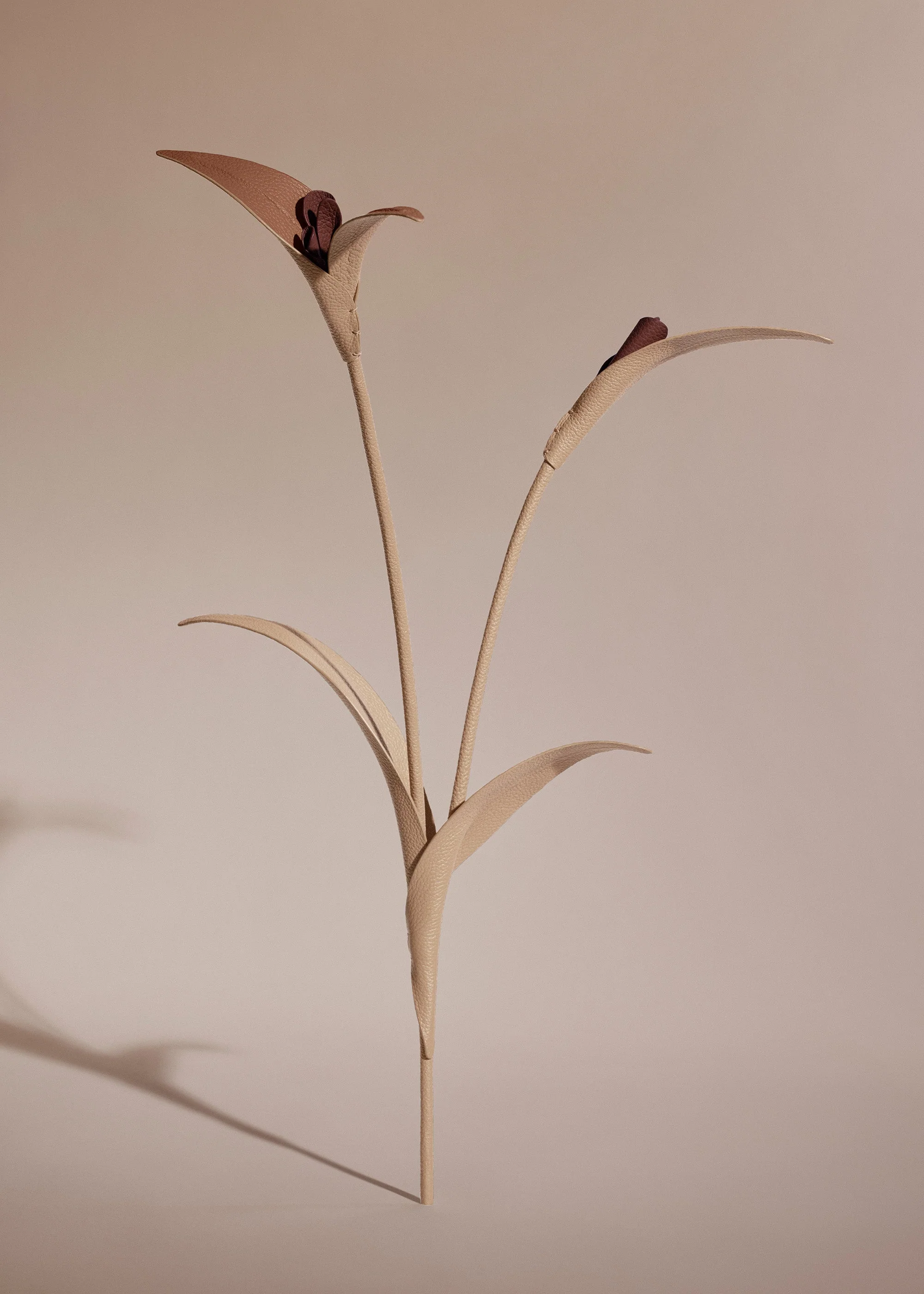 Fiore Touka - Trio Beige - Image 2