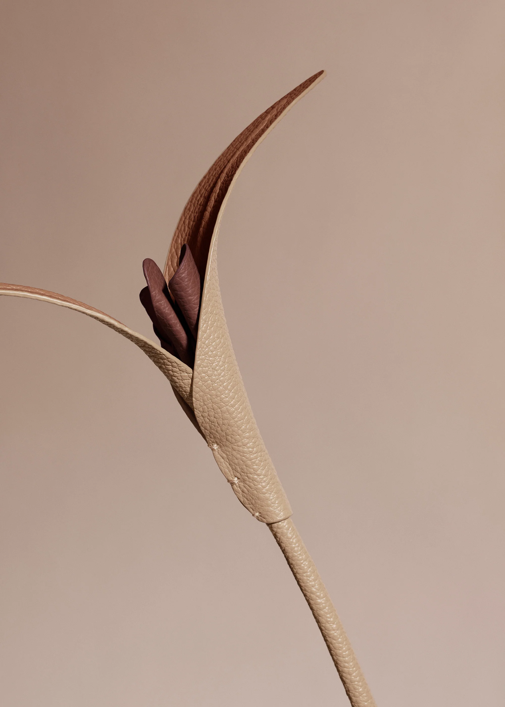 Fiore Touka - Trio Beige - Image 5