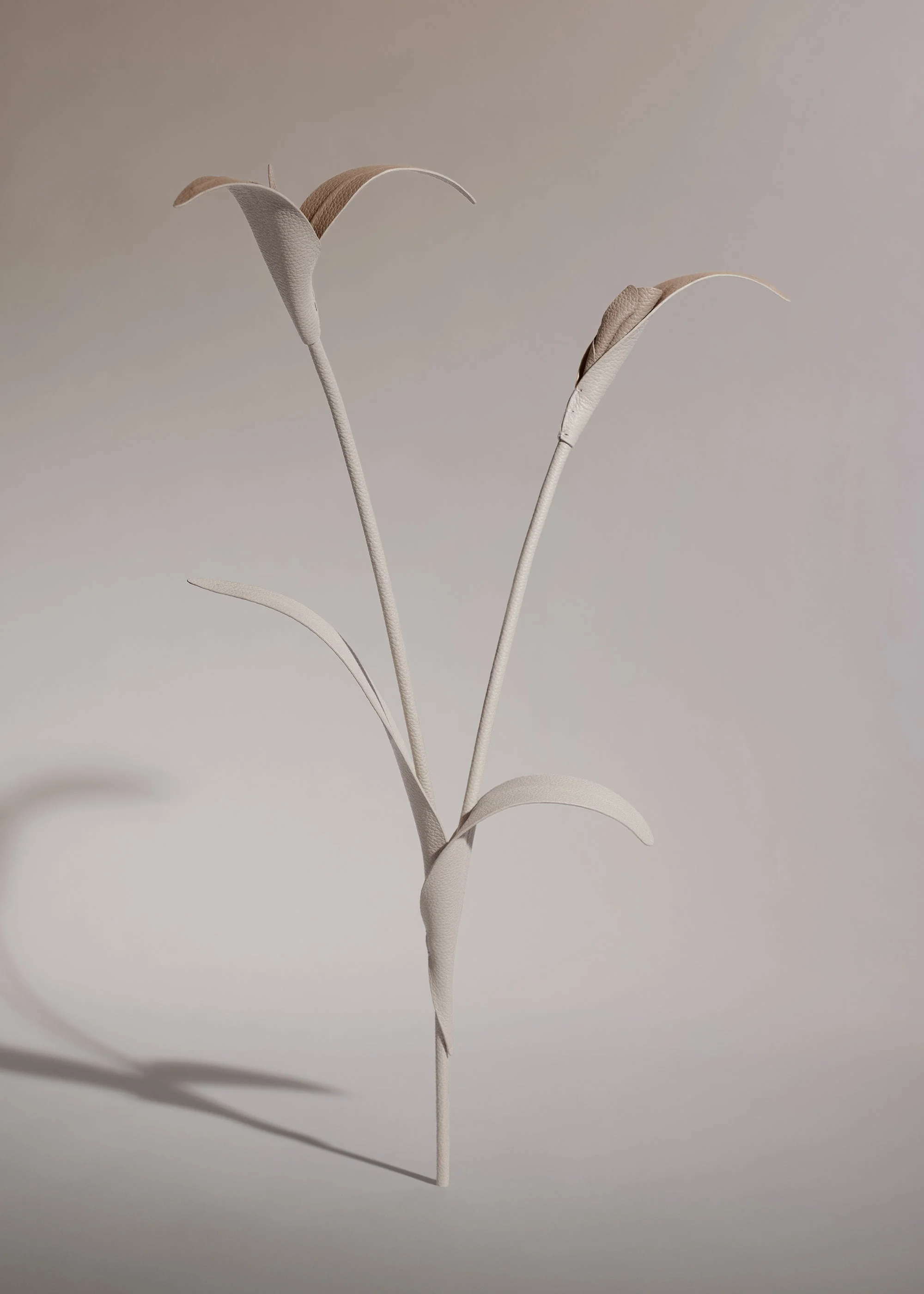 Fiore Touka - Trio Gesso - Image 2