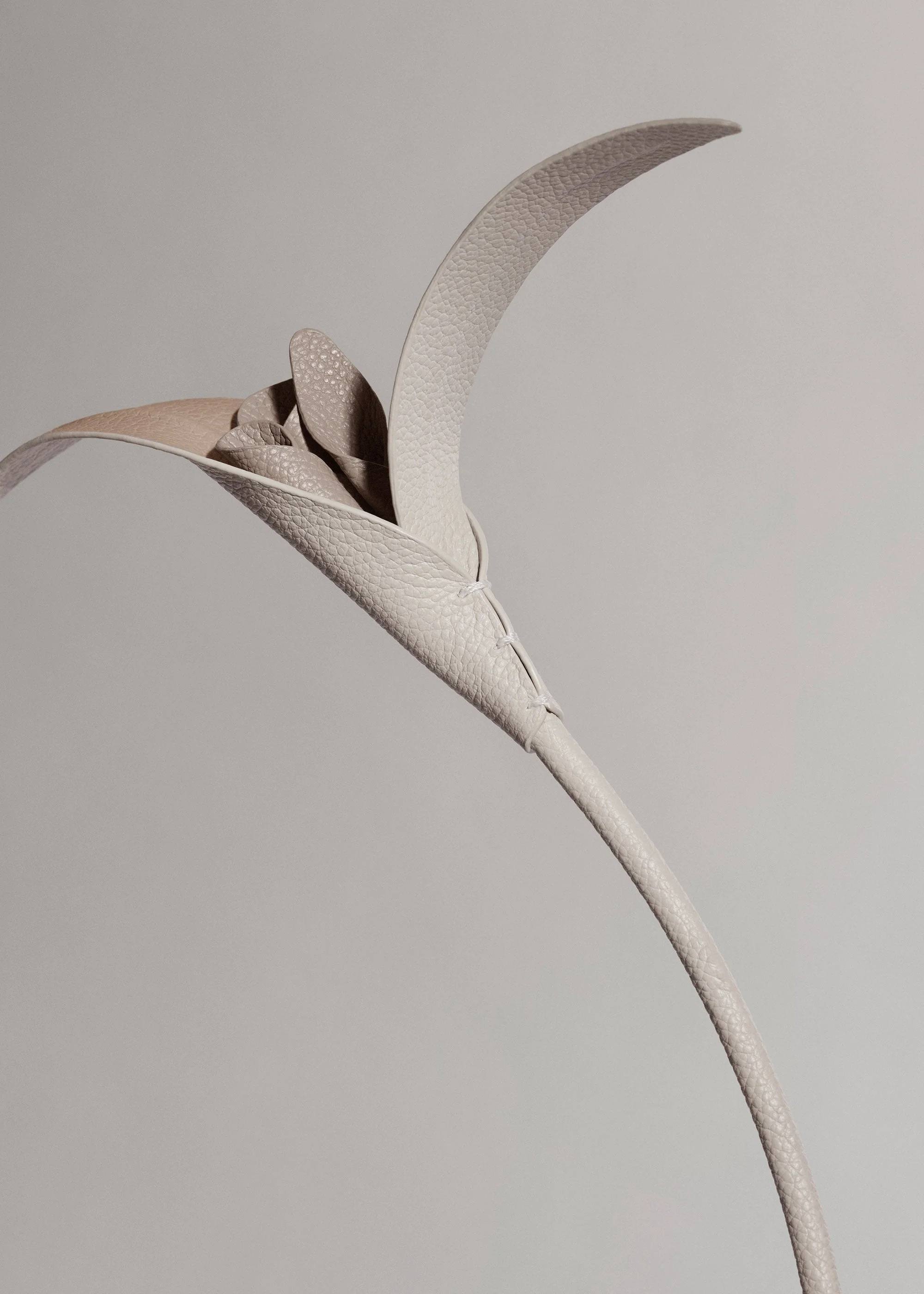 Fiore Touka - Trio Gesso - Image 3