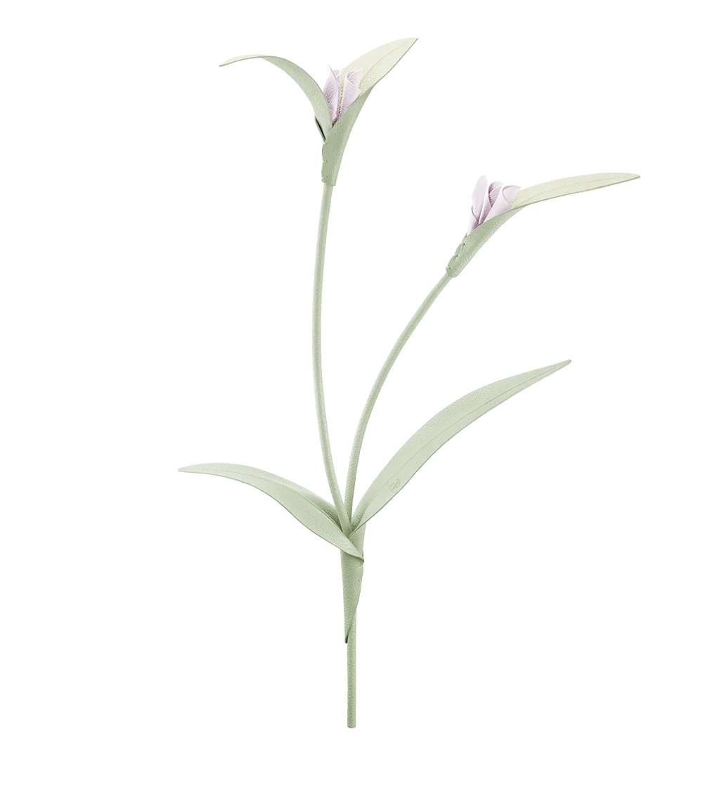 Fiore Touka - Mandorla fresca
