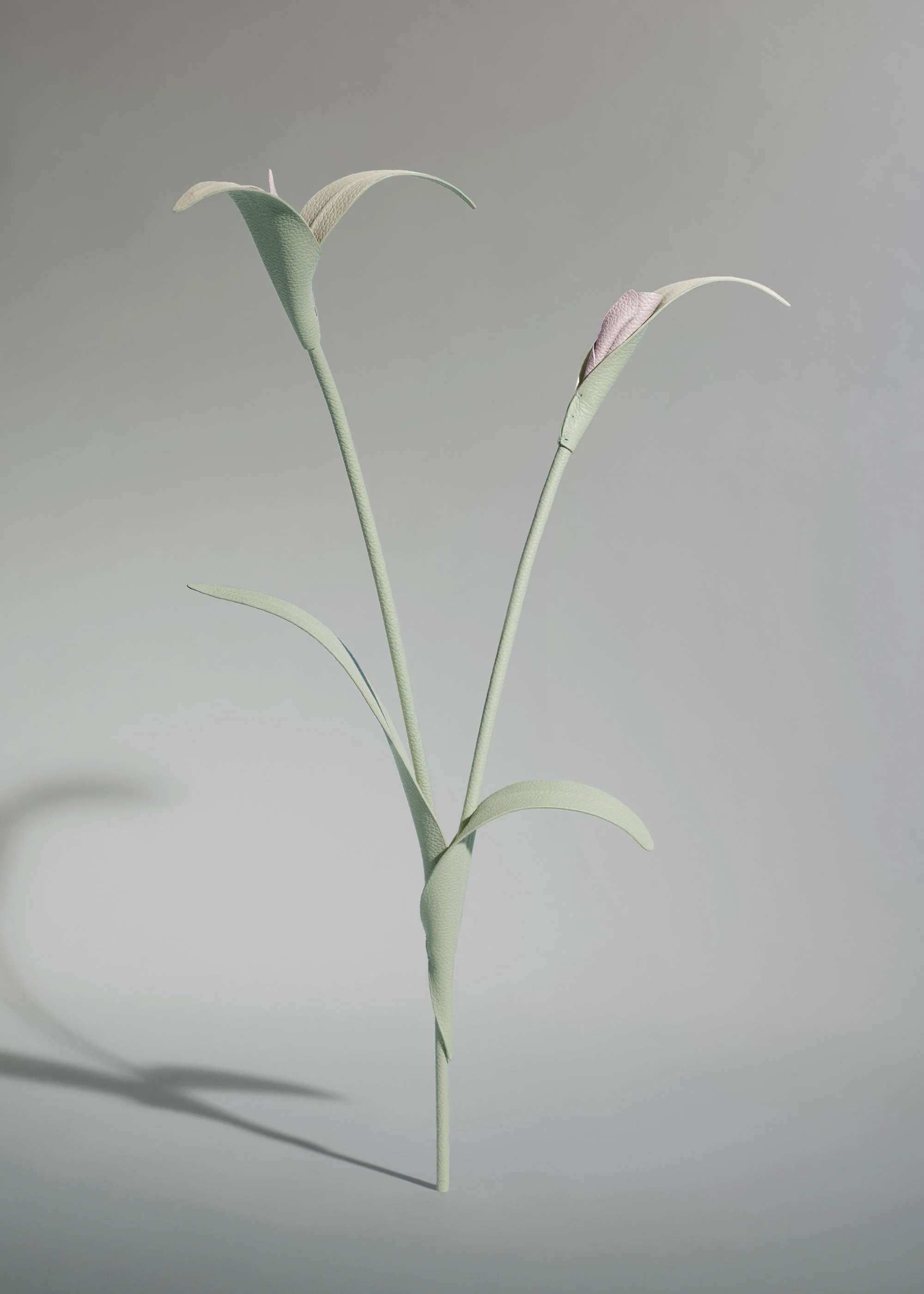 Fiore Touka - Mandorla fresca - Image 2