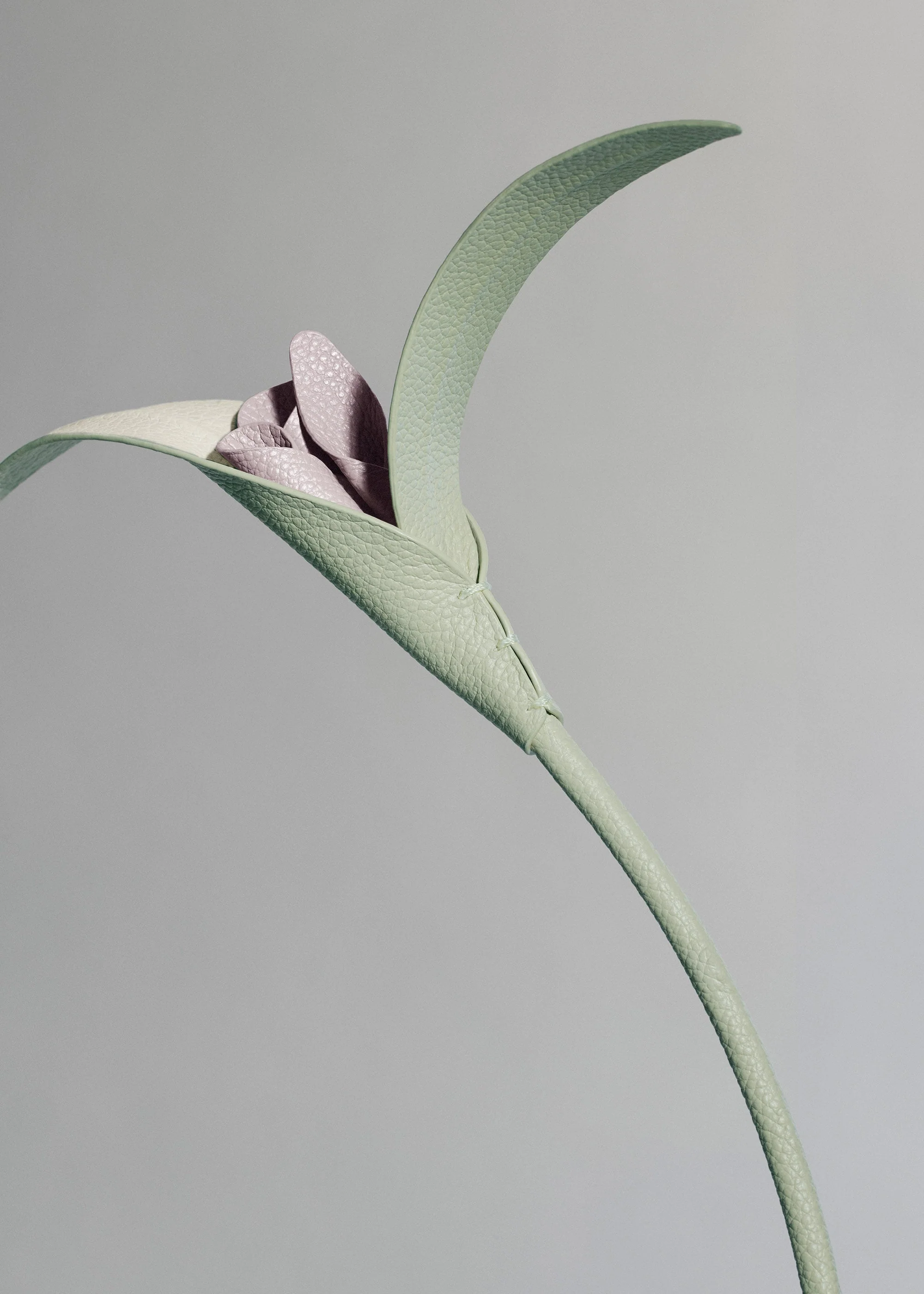 Fiore Touka - Mandorla fresca - Image 3