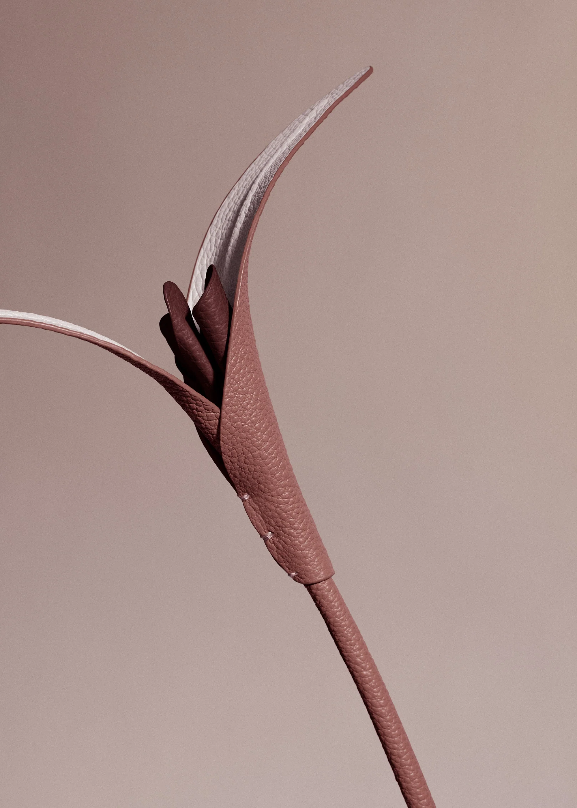 Fiore Touka - Lilla - Image 3
