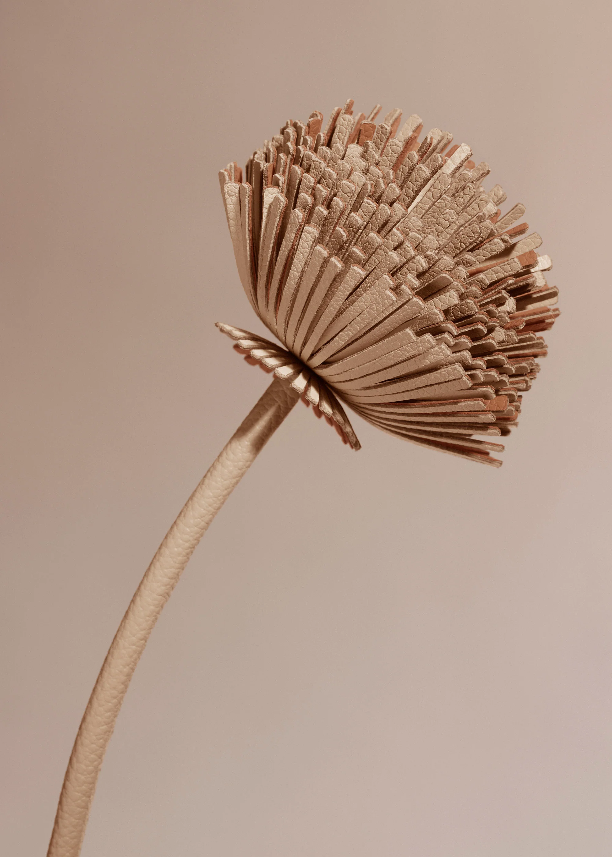 Fiore Tul - Duo Beige - Image 3