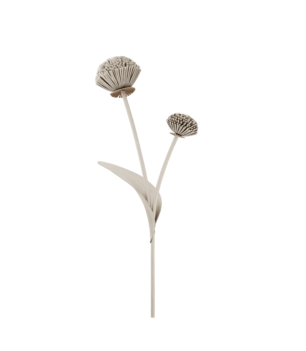 Fiore Tul - Duo Gesso