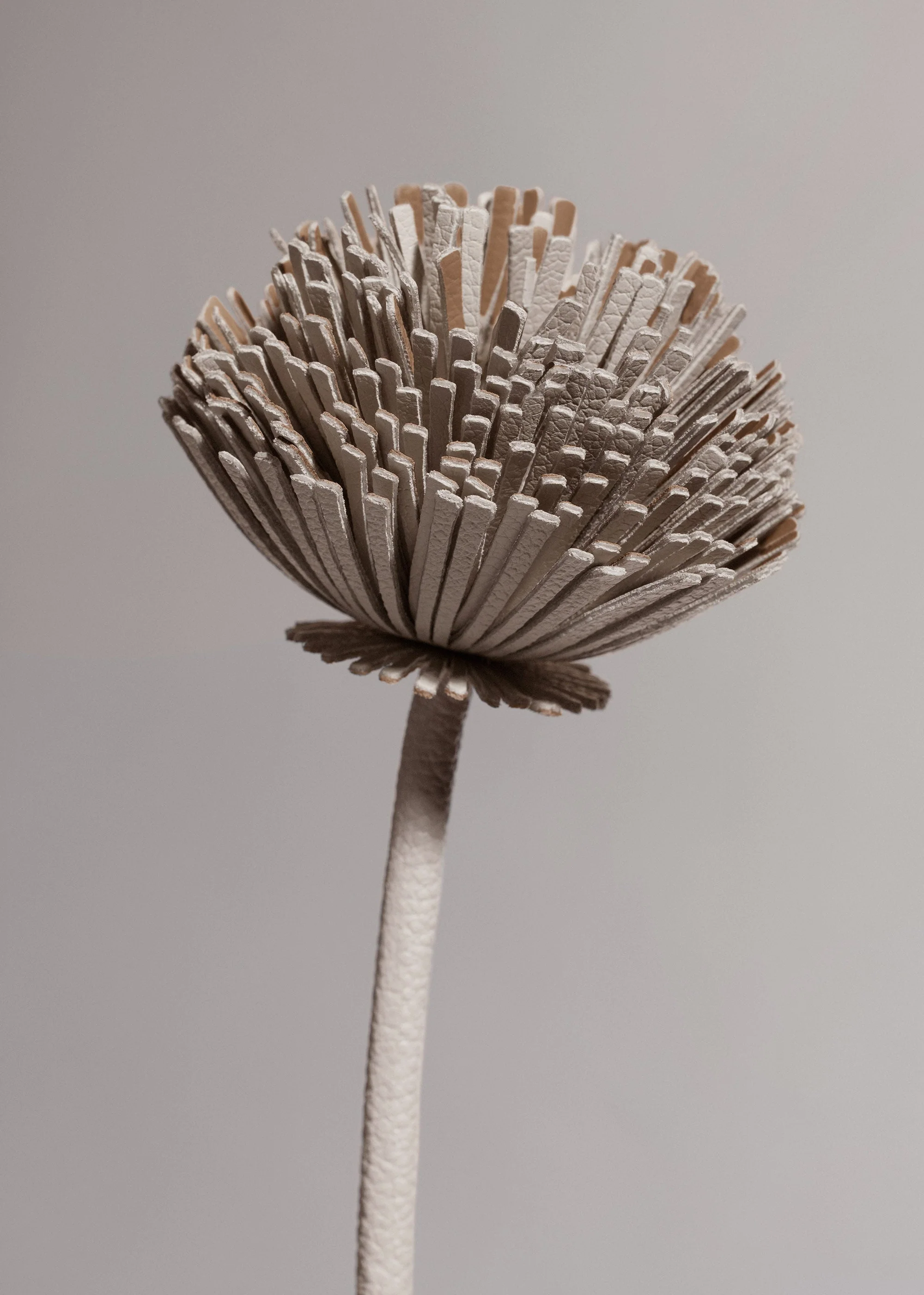 Fiore Tul - Duo Gesso - Image 3