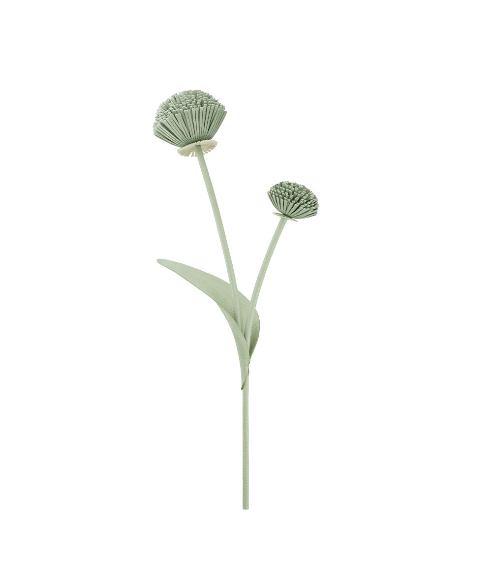Fiore Tul - Mandorla fresca