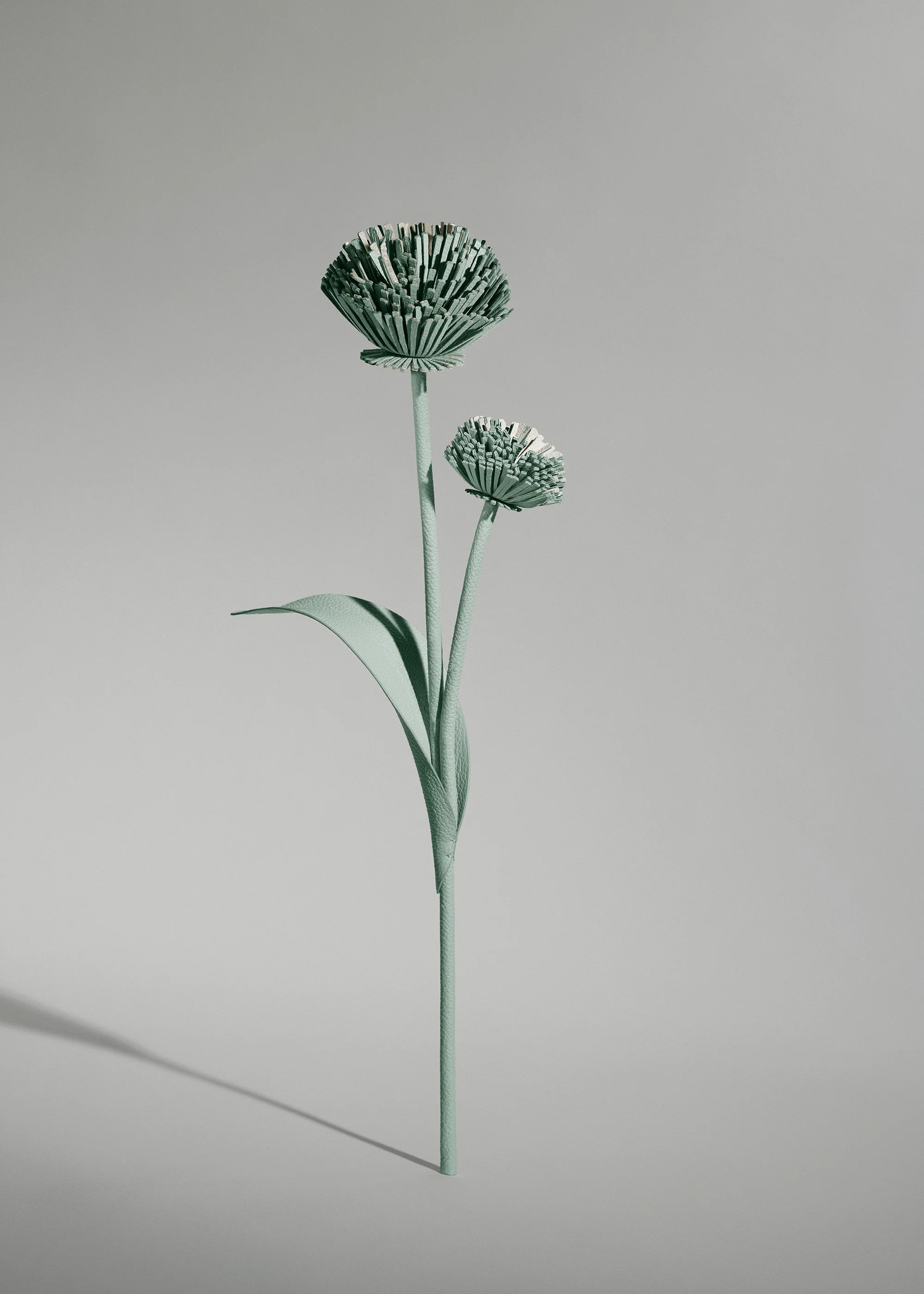 Fiore Tul - Mandorla fresca - Image 2