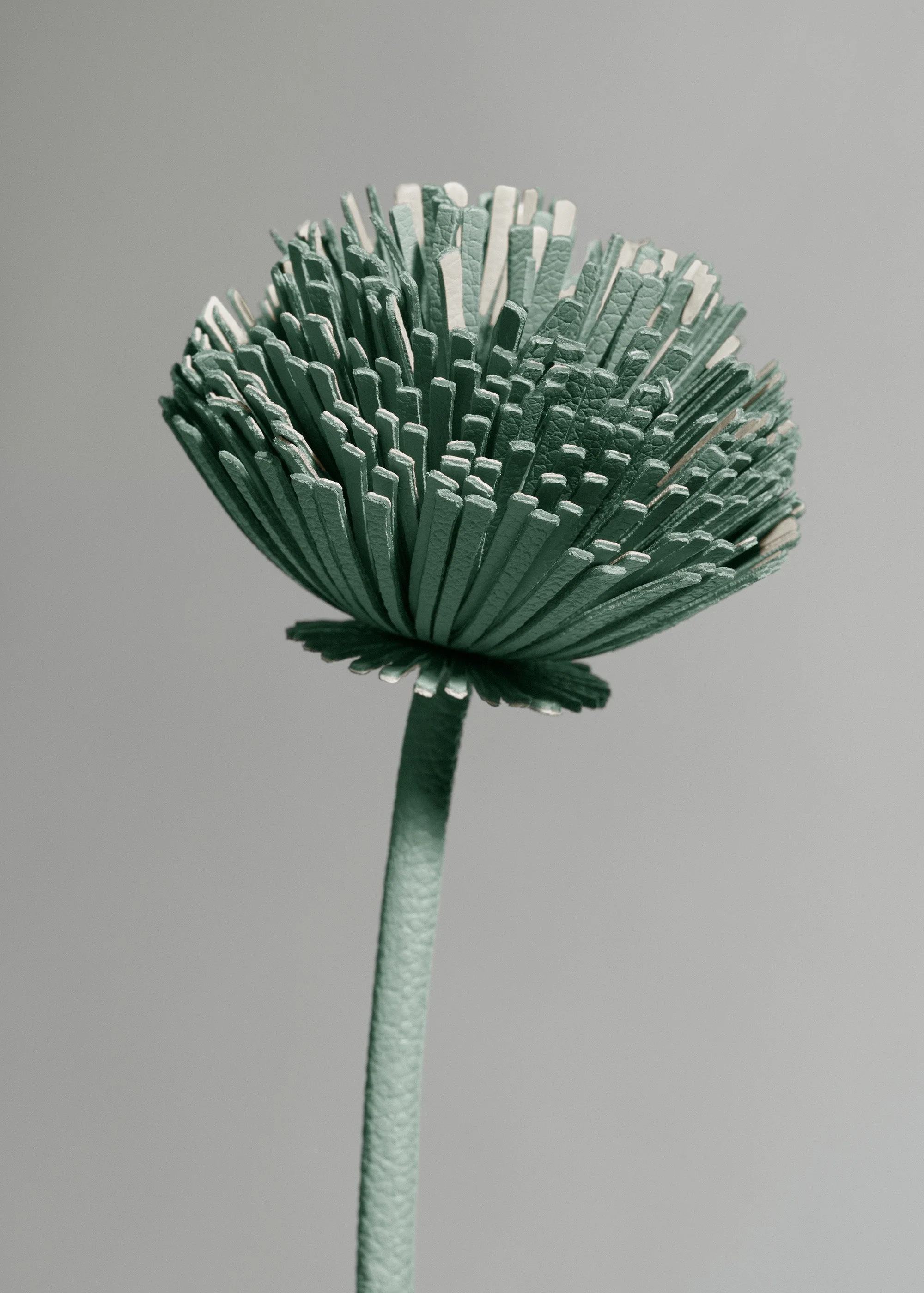 Fiore Tul - Mandorla fresca - Image 3