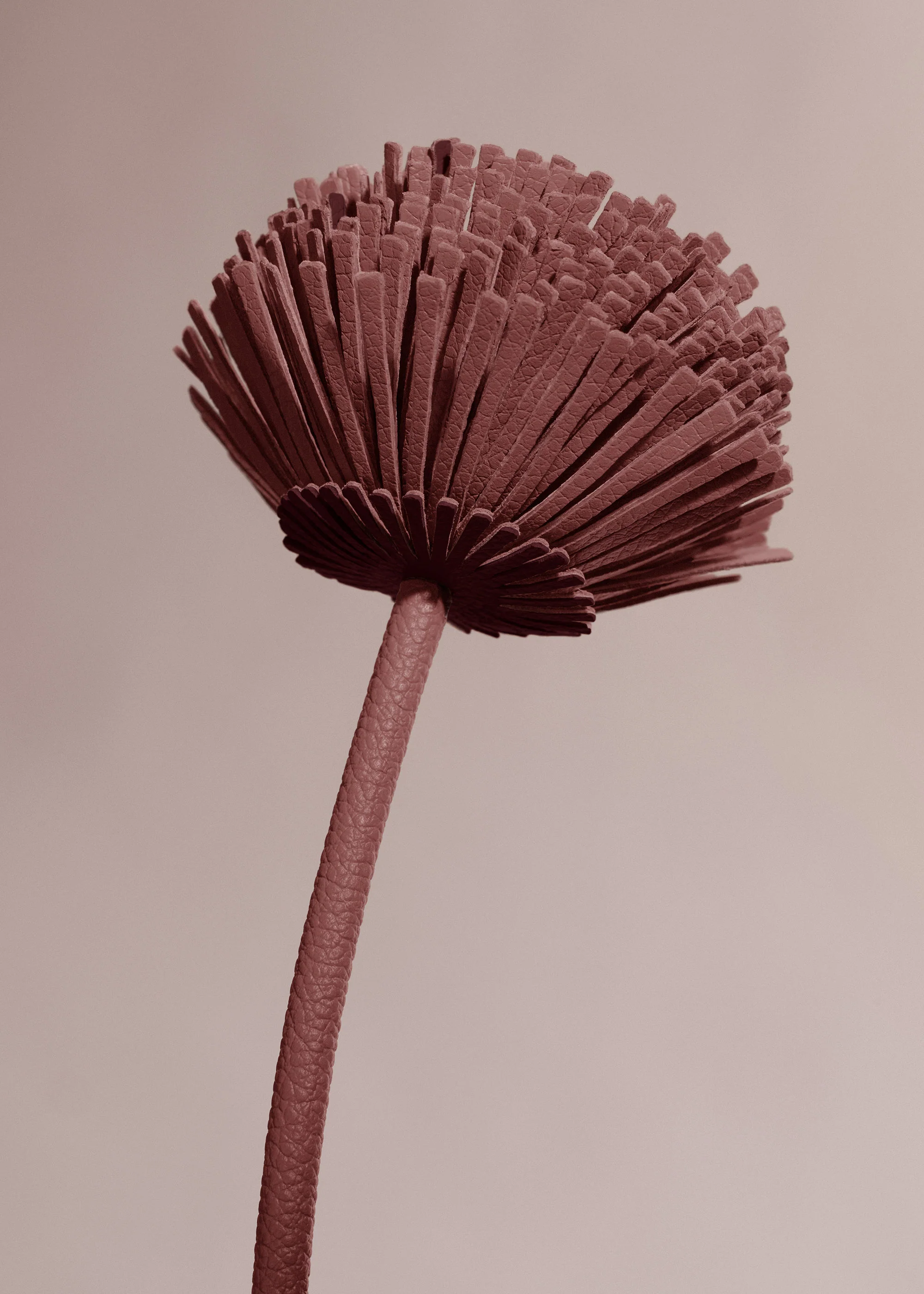 Fiore Tul - Duo Lilla - Image 3